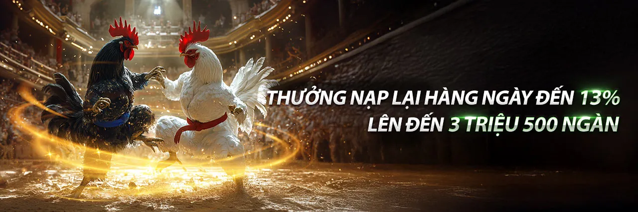 Sân đấu đá gà trực tuyến sôi động tại EA88