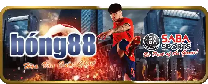 Hỗ trợ khách hàng 24/7 ea88